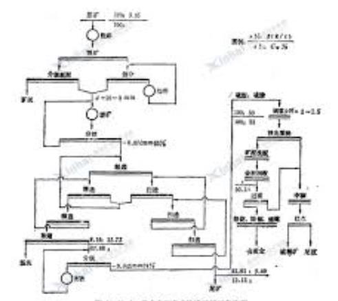 龙水岭金矿选矿工艺流程